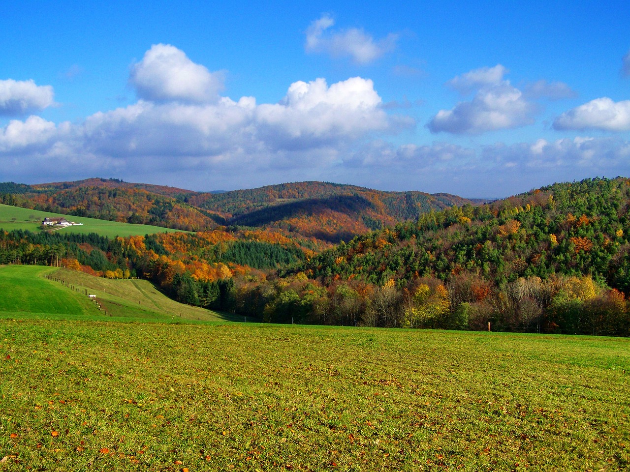 Działki